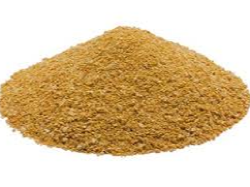 Maize DDGS