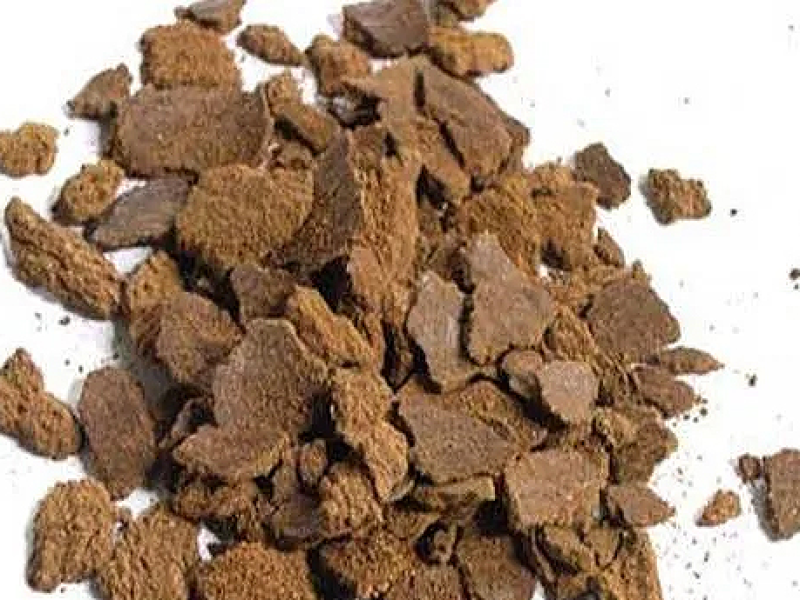 Mustard DOC (De-Oiled Cake)